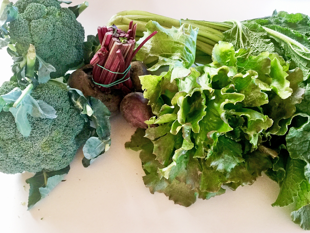brocoli laitue romaine betteraves