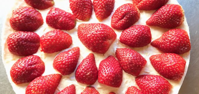 chessecake sans four aux fraises et lime